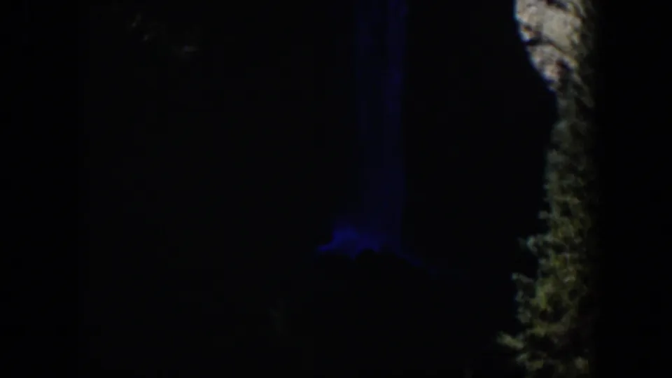 1951 Wyoming 8mm frame with bark highlights, deep shadow, and a subdued blue light shape near the tree.