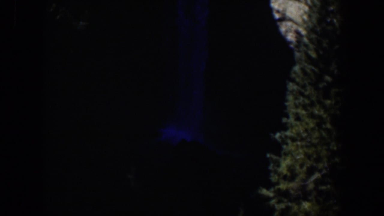Dark outdoor scene with blue light and a rough vertical tree or rock surface.