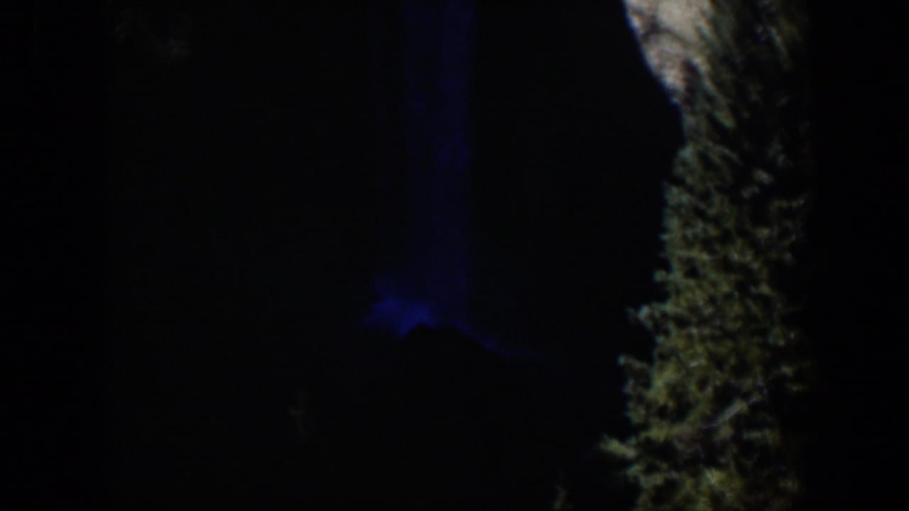 Dim 1951 Wyoming home-movie frame with a blue-lit patch and a rough bark-like or rock-like vertical edge.