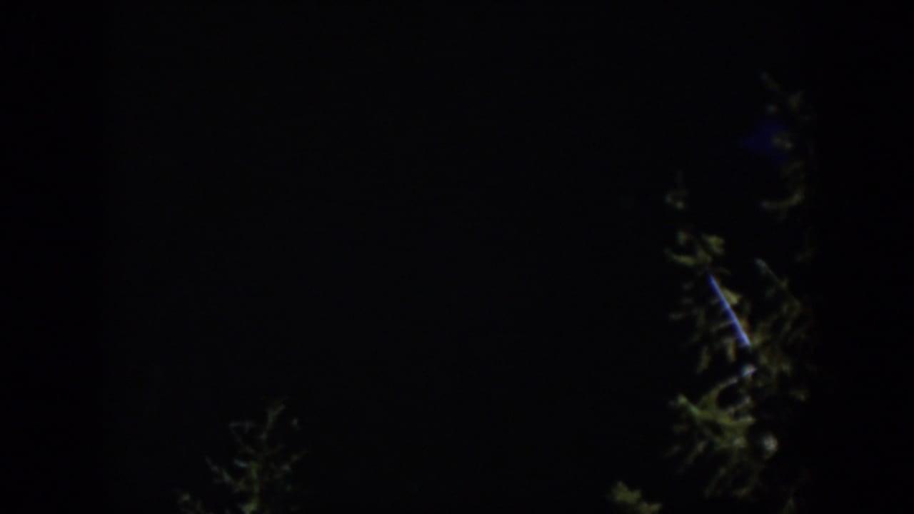 1951 Wyoming 8mm frame showing barely lit evergreen trees against a mostly black nighttime background.