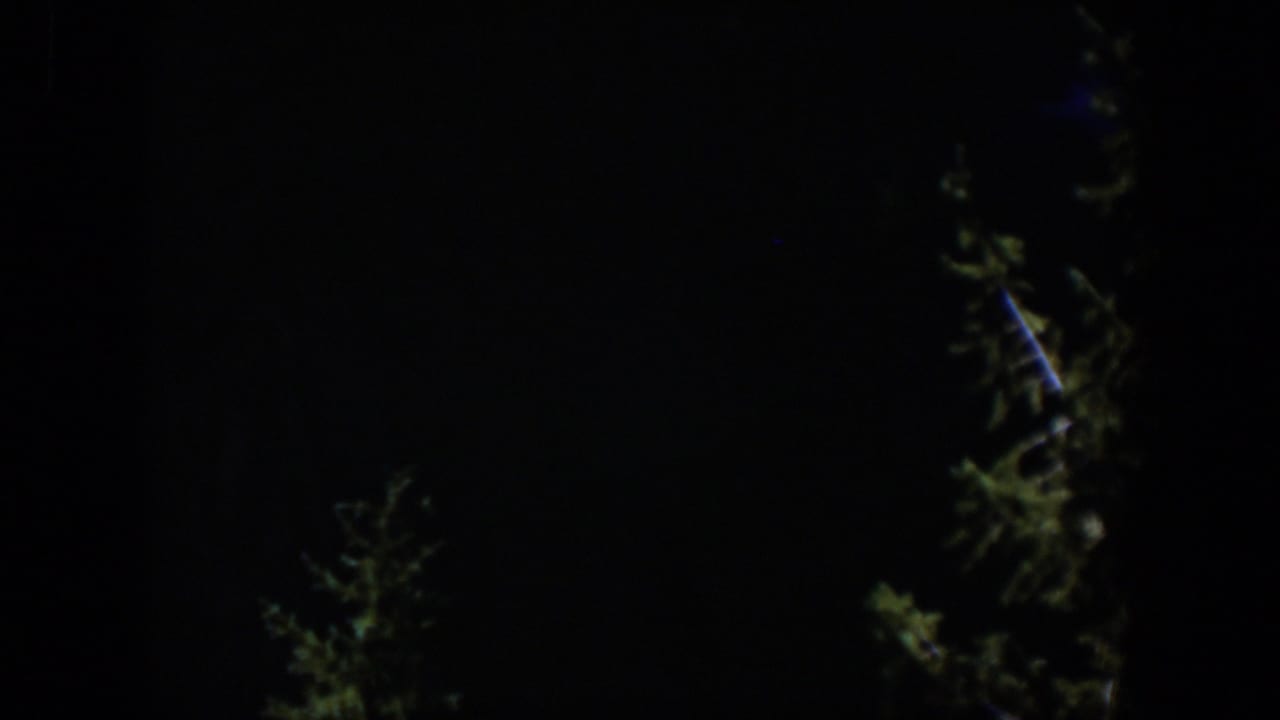 1951 Wyoming home-movie frame with tall evergreens softly picked out by minimal light at night.