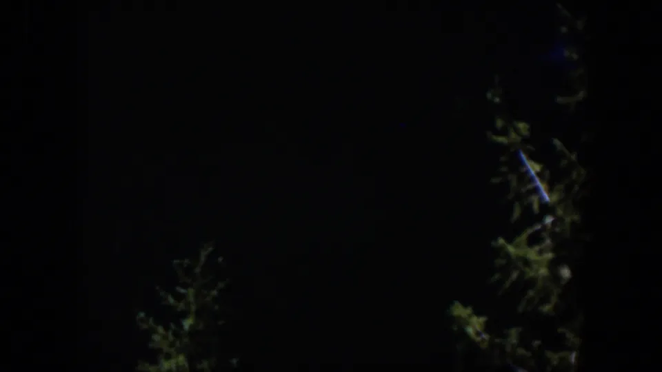 1951 Wyoming home-movie frame with tall evergreens softly picked out by minimal light at night.