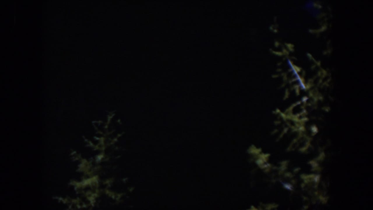Dark 8mm frame from Wyoming in 1951 showing evergreen tops and branches in a nearly black outdoor scene.