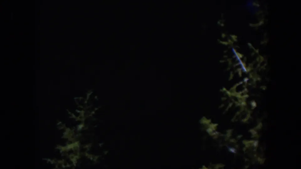 Dark 8mm frame from Wyoming in 1951 showing evergreen tops and branches in a nearly black outdoor scene.