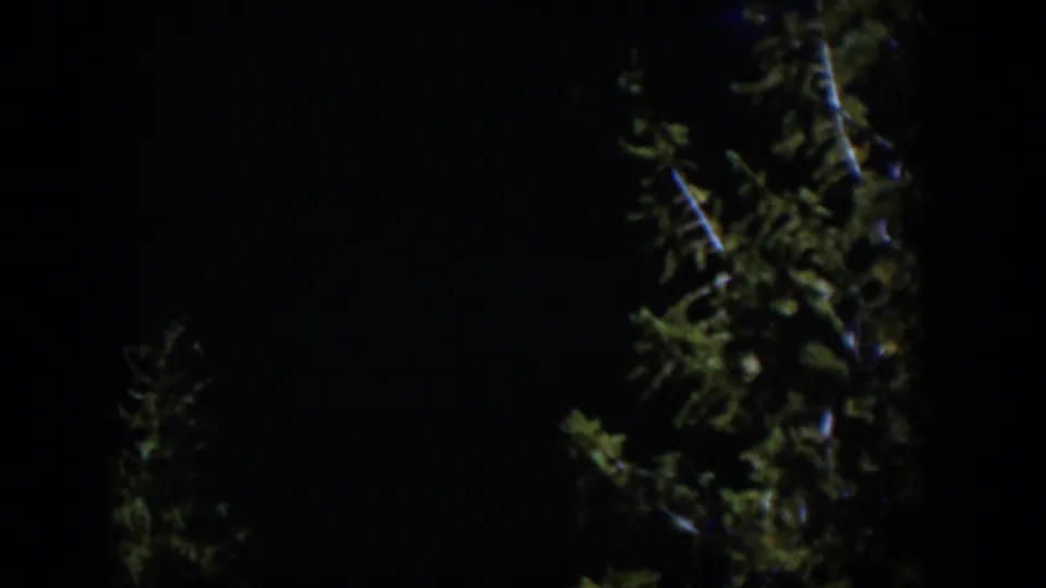 1951 Wyoming 8mm frame with evergreen silhouettes, a pale branch highlight, and dark nighttime surroundings.