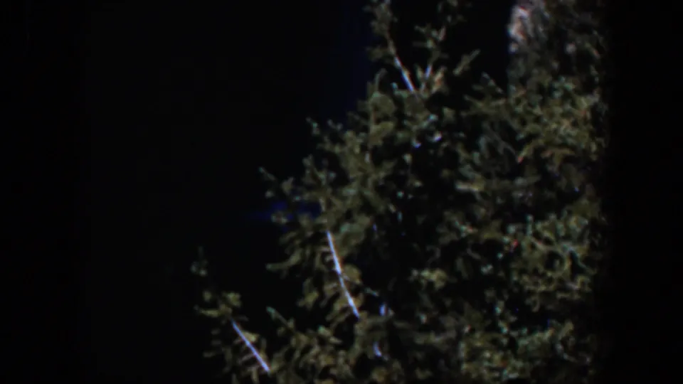 1951 Wyoming 8mm frame showing a dim cluster of tree branches and leaves against a black sky.