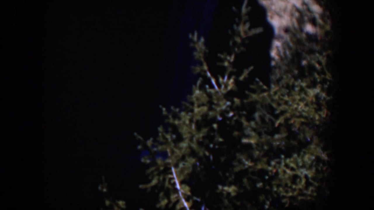 Dark waterfall beside rocky cliff and evergreen foliage.