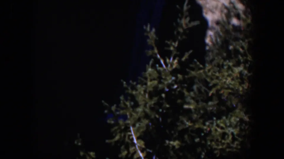 1951 Wyoming 8mm frame showing a blue-toned waterfall, rock face, and evergreen branches in low light.