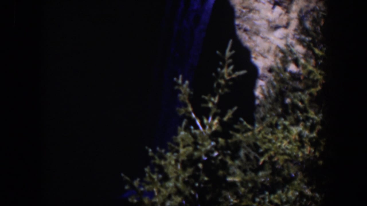Blue-lit water and a rocky cliff appear behind green foliage in this 1951 Wyoming home-movie frame.