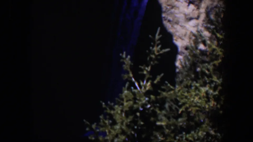 Blue-lit water and a rocky cliff appear behind green foliage in this 1951 Wyoming home-movie frame.
