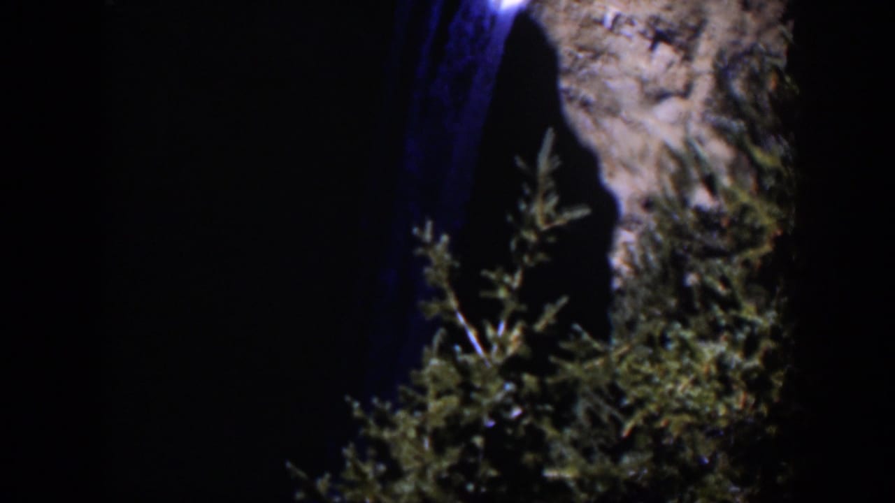 A soft 8mm view of a nighttime Wyoming waterfall framed by cliff rock and dark green foliage.