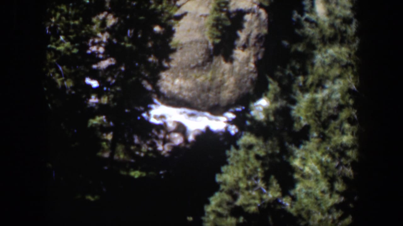 Rushing white water below rocks and evergreen trees in a shaded canyon.