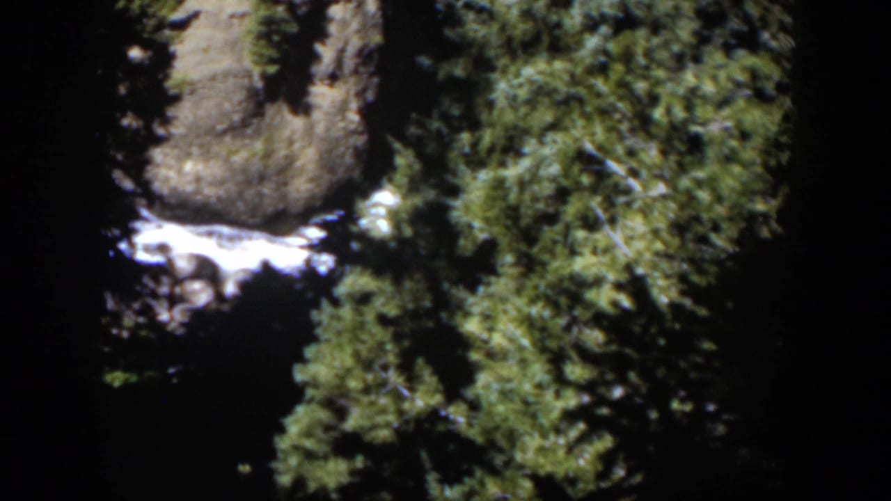 Water rushes over rocks among dark evergreens and sunlit forest shadows.