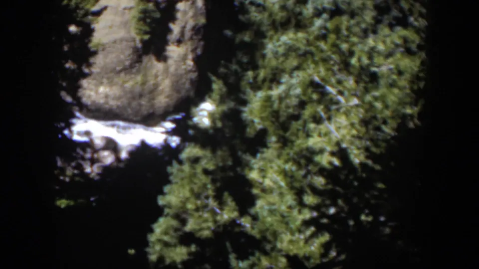 1951 Wyoming 8mm frame showing white water cascading over rocks amid evergreen trees and deep shade.