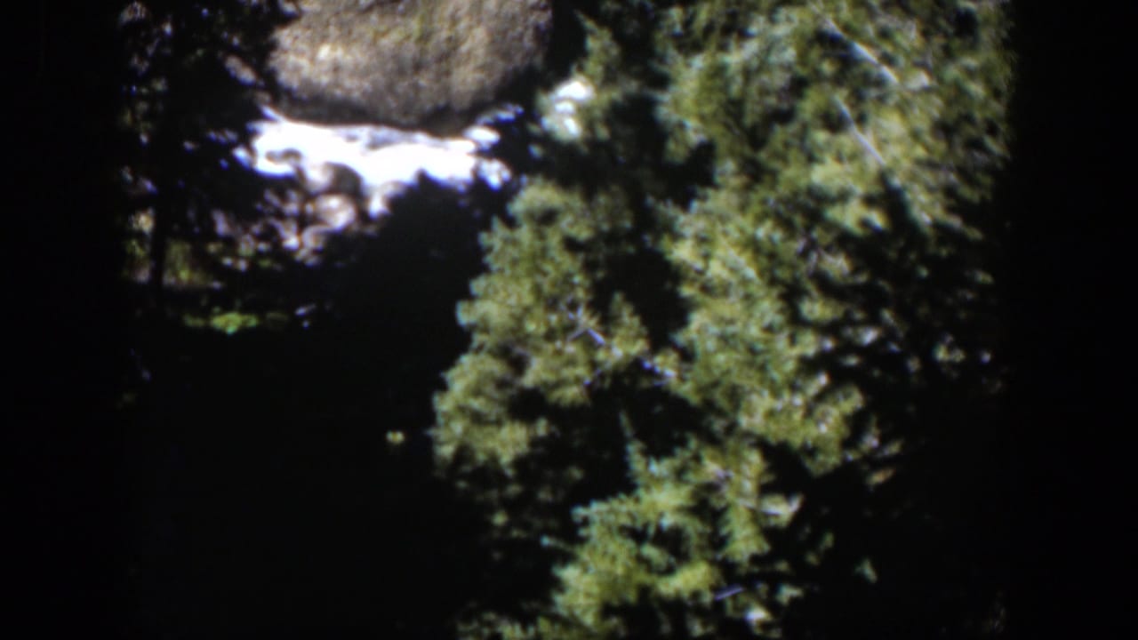 1951 Wyoming home-movie frame with bright river water and rocks partly obscured by dense evergreen foliage.