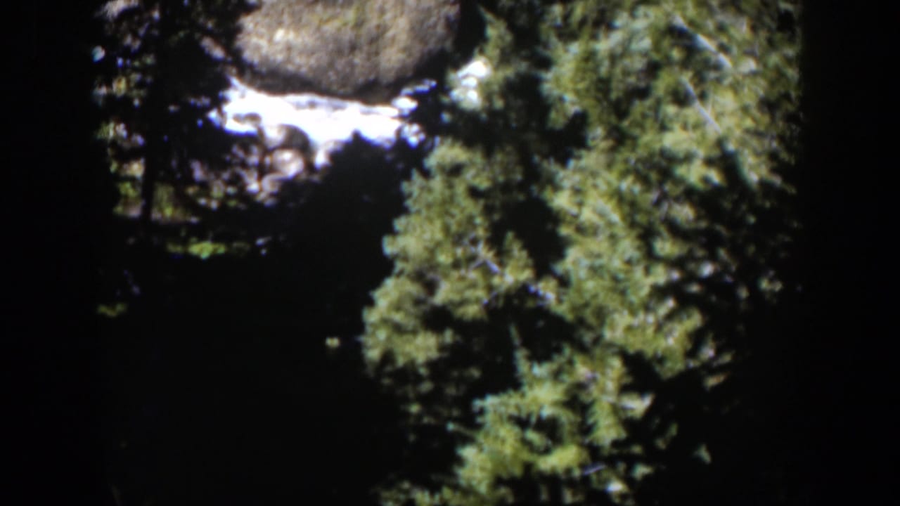 1951 Wyoming 8mm frame showing a shaded rocky stream bordered by green evergreen trees.