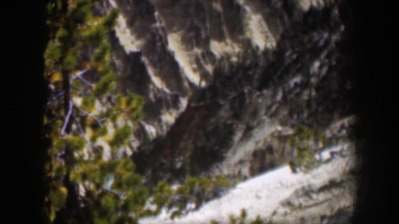 Pine branches frame a gray rocky mountain face with pale patches.