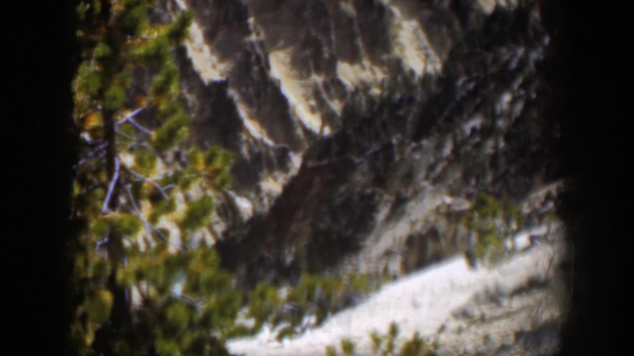 1951 Wyoming 8mm view of pine foliage against a rugged gray cliff face, with dark gate edges and soft focus.