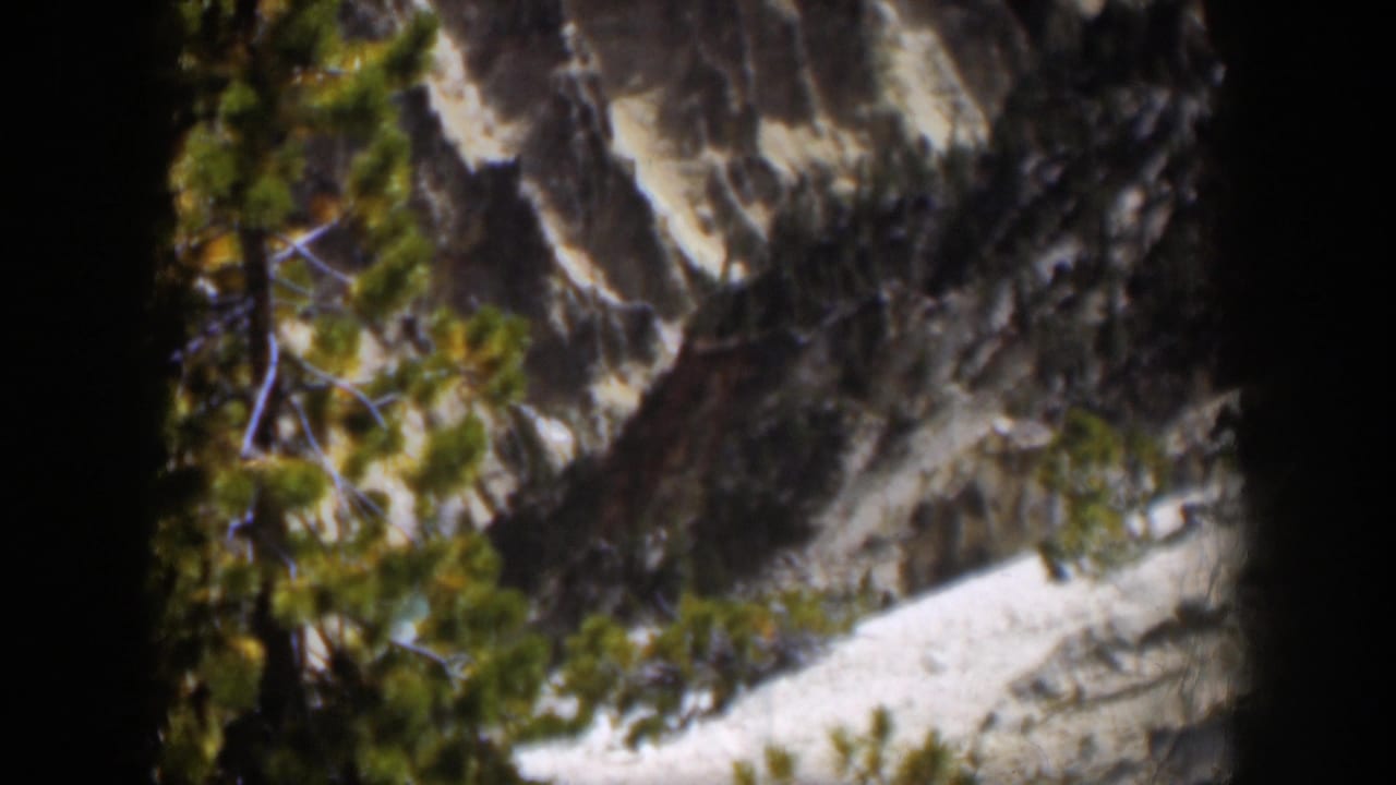 1951 Wyoming home-movie frame showing pine boughs over a gray mountain rock face and pale lower rock or snow area.