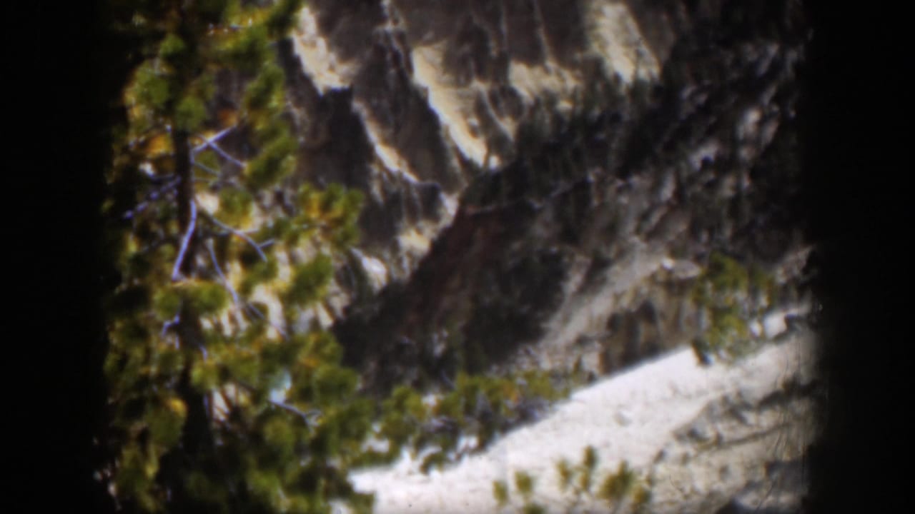 1951 Wyoming 8mm frame showing a foreground pine beside a snow-dusted rocky mountainside and dark vignetted film edges.