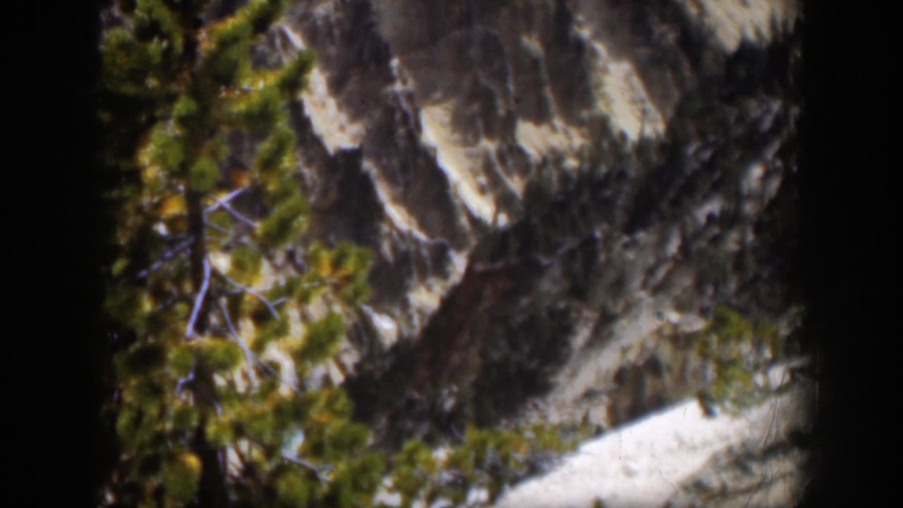 1951 Wyoming home-movie frame with pine branches, pale snow, and a rugged gray-brown mountainside seen through dark frame edges.