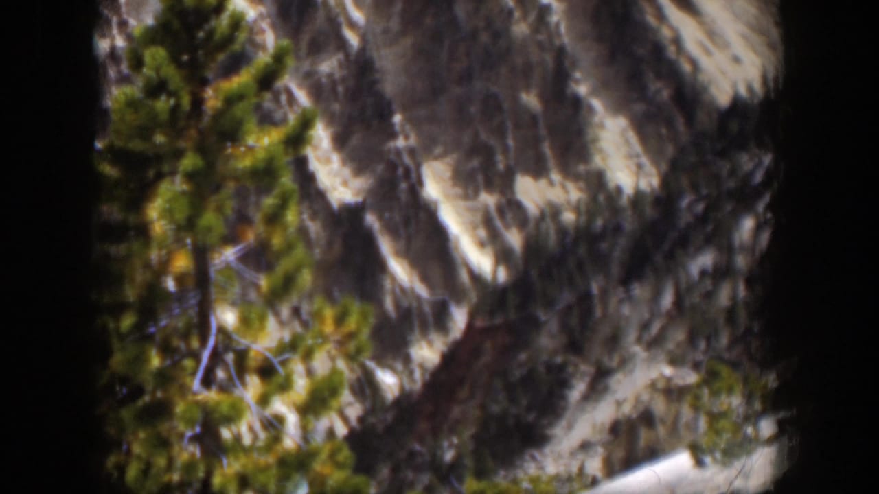 Soft 1951 Wyoming 8mm frame showing a pine in the foreground with snow and rugged mountainside terrain behind it.