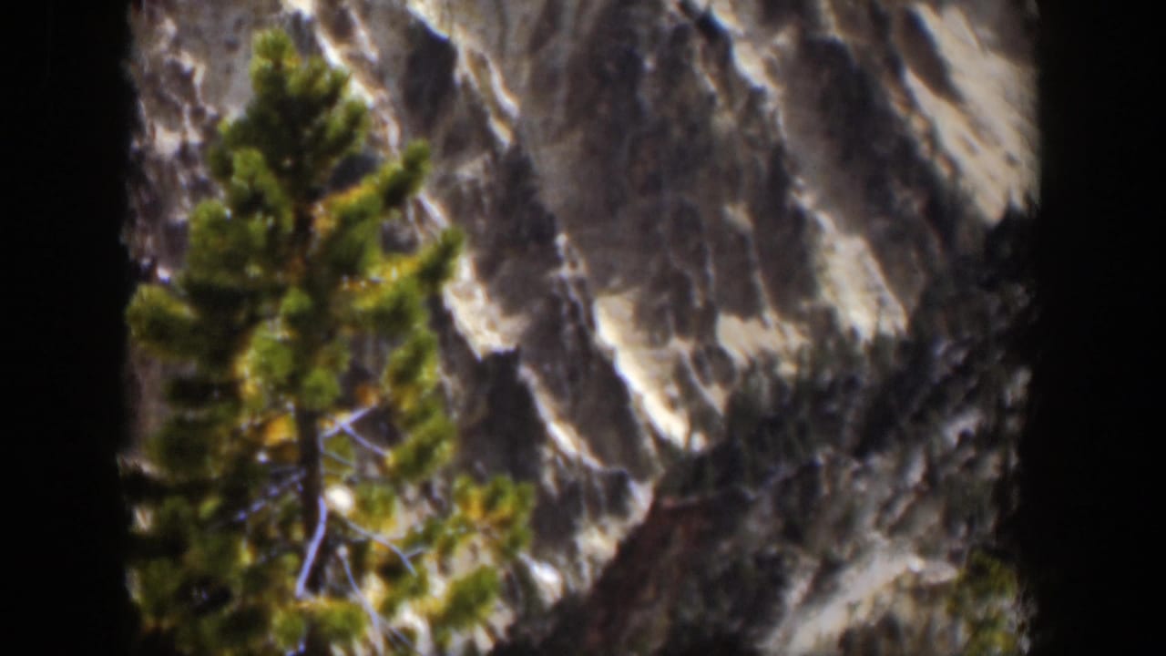 1951 Wyoming 8mm frame of evergreen branches before a steep, snow-dusted rocky mountainside with visible film vignette.