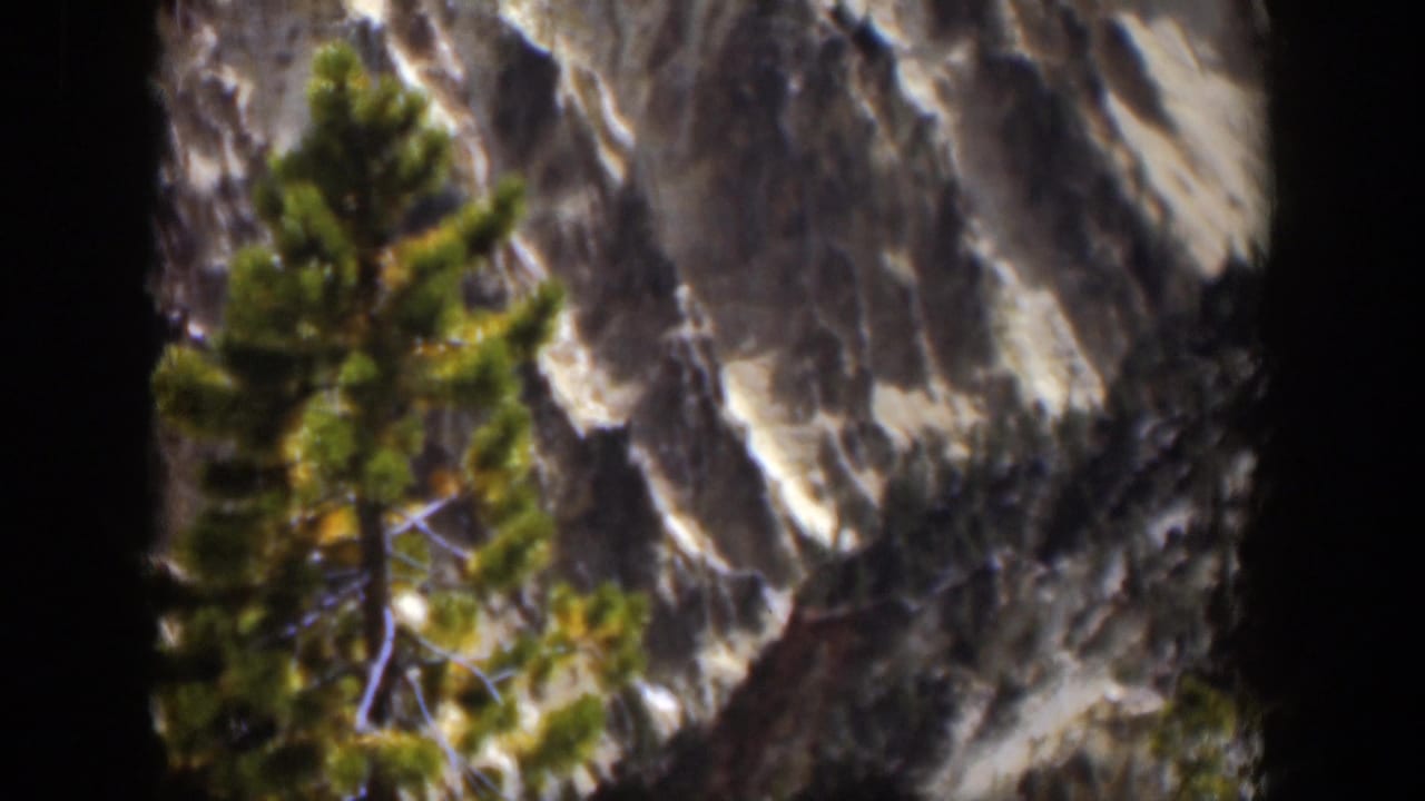 Evergreen tree in front of a steep snow-dusted mountain face with dark film borders.
