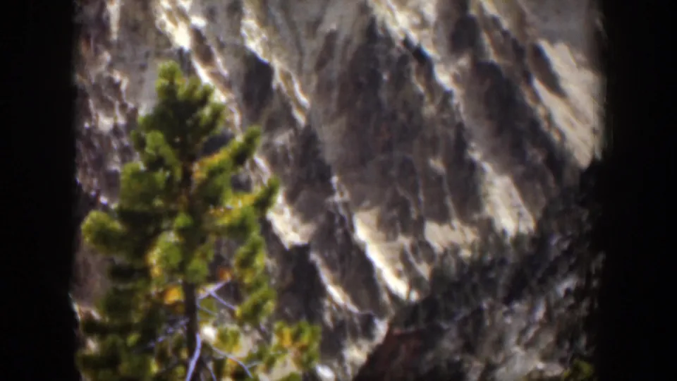1951 Wyoming 8mm frame with a foreground pine set against gray mountain rock and lingering snow in crevices.