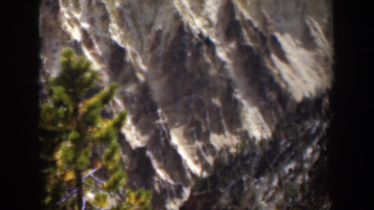 1951 Wyoming 8mm frame showing the lower portion of an evergreen before a steep mountain slope with snow-dusted creases.