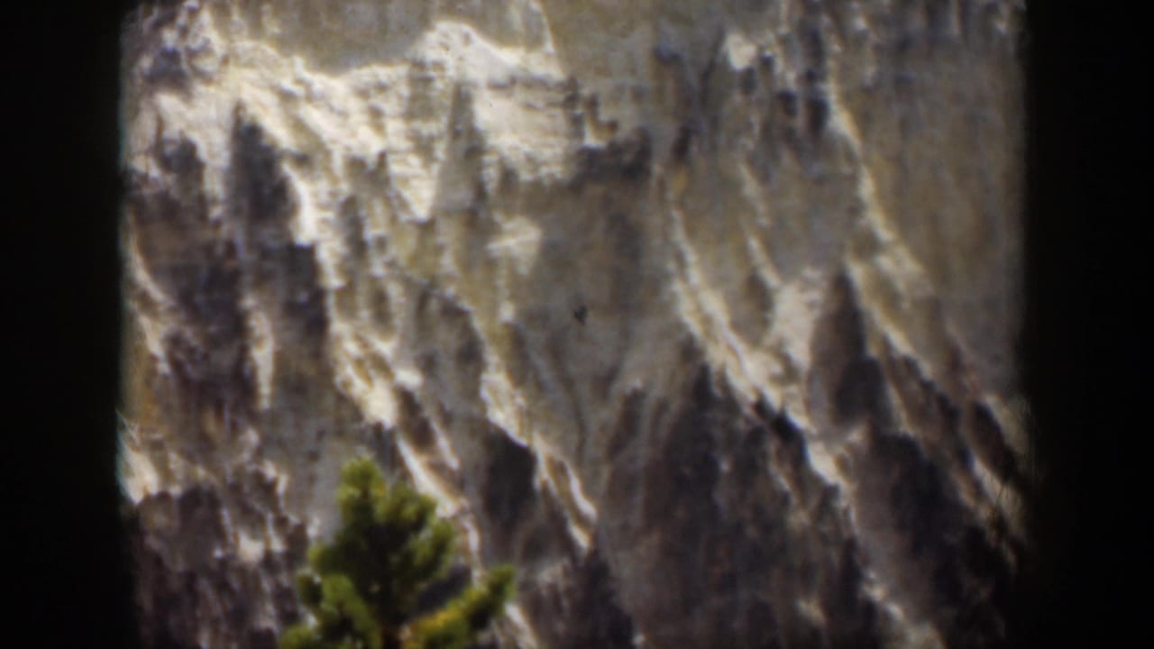 1951 Wyoming 8mm frame of a rugged rock face with a foreground evergreen and visible film borders.