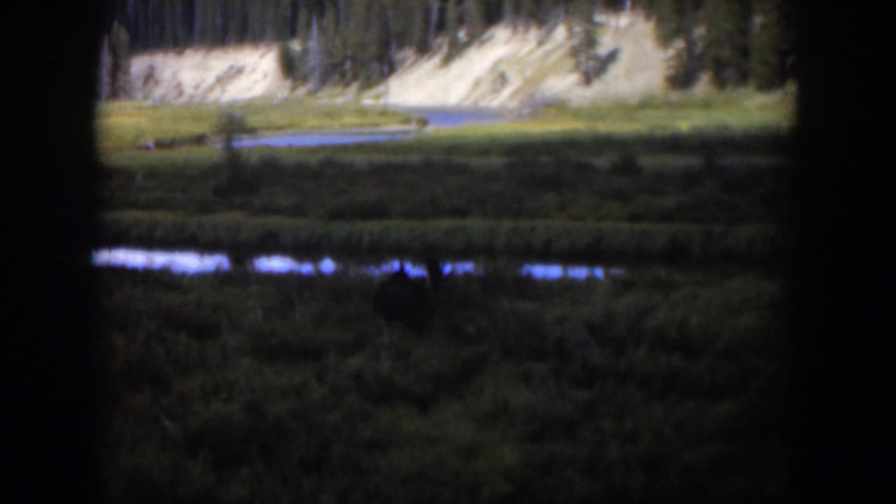 Dark-framed view of a marshy green field, reflective stream, pale hillside, and distant trees.