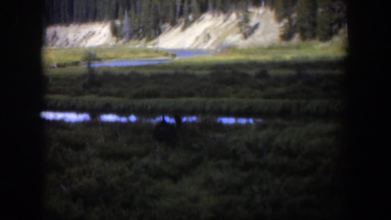 1951 Wyoming landscape frame with dark vertical borders, green wetland, narrow water channels, a pale bank, and forested background.