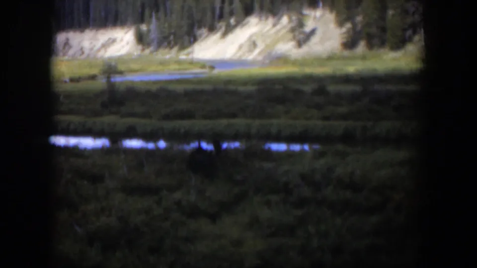 1951 Wyoming landscape frame with dark vertical borders, green wetland, narrow water channels, a pale bank, and forested background.