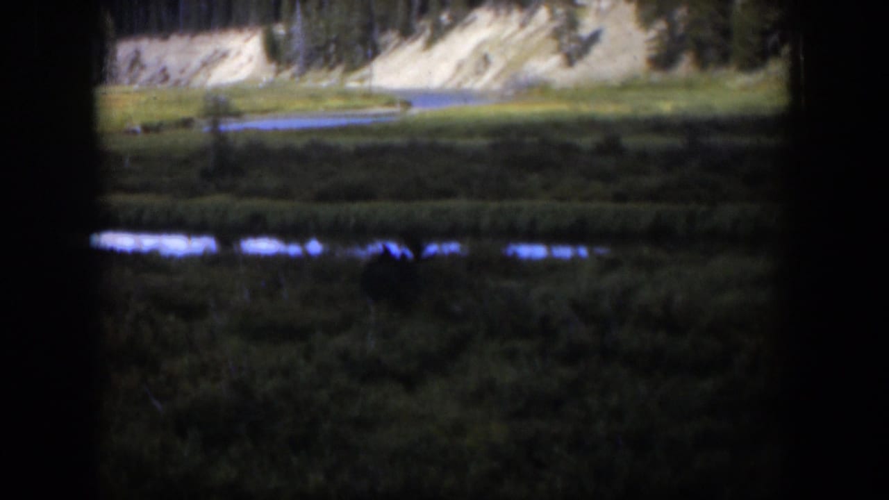 1951 Wyoming home-movie still showing marsh vegetation, reflective blue water, a pale hillside, and trees behind a dark foreground frame.