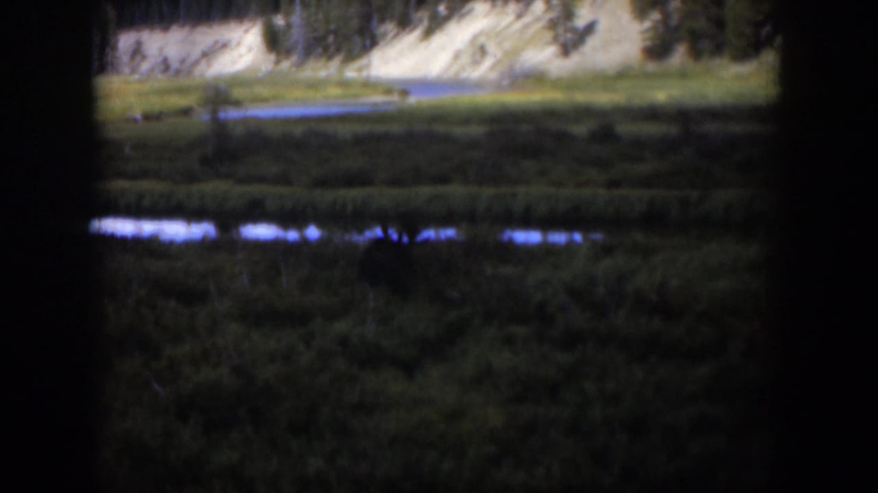 1951 Wyoming 8mm frame capturing a quiet wetland and stream through dark foreground edges, with a pale slope and forest in back.