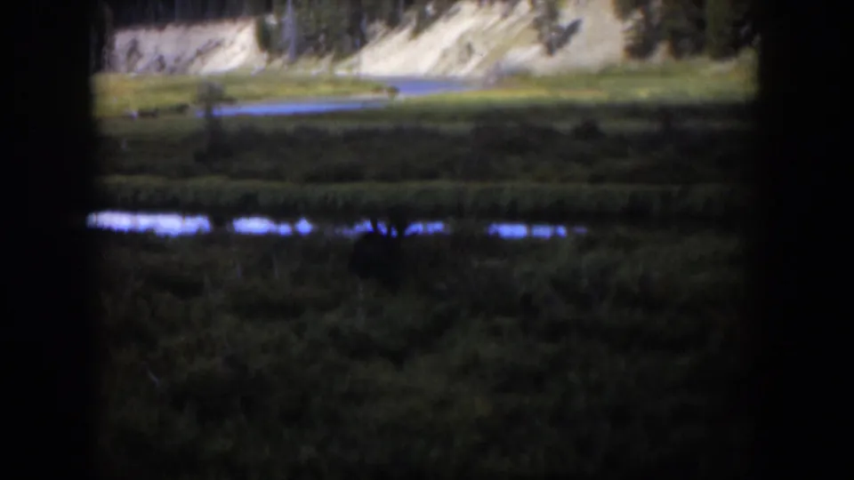 1951 Wyoming 8mm frame capturing a quiet wetland and stream through dark foreground edges, with a pale slope and forest in back.
