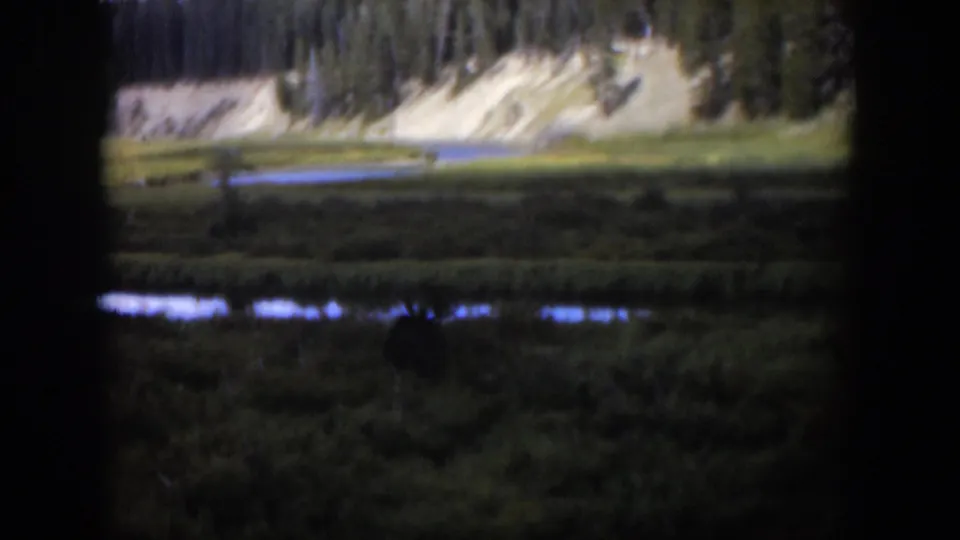 Soft 8mm view of a Wyoming meadow with a possible moose near reflective water and a wooded hillside behind.
