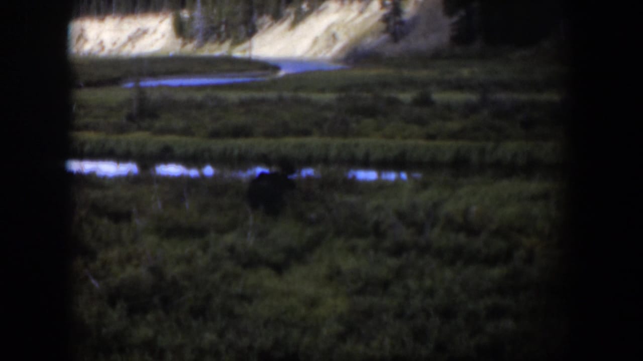 Vintage 8mm Wyoming frame showing a distant possible moose in a meadow, framed by dark edges with water and trees beyond.