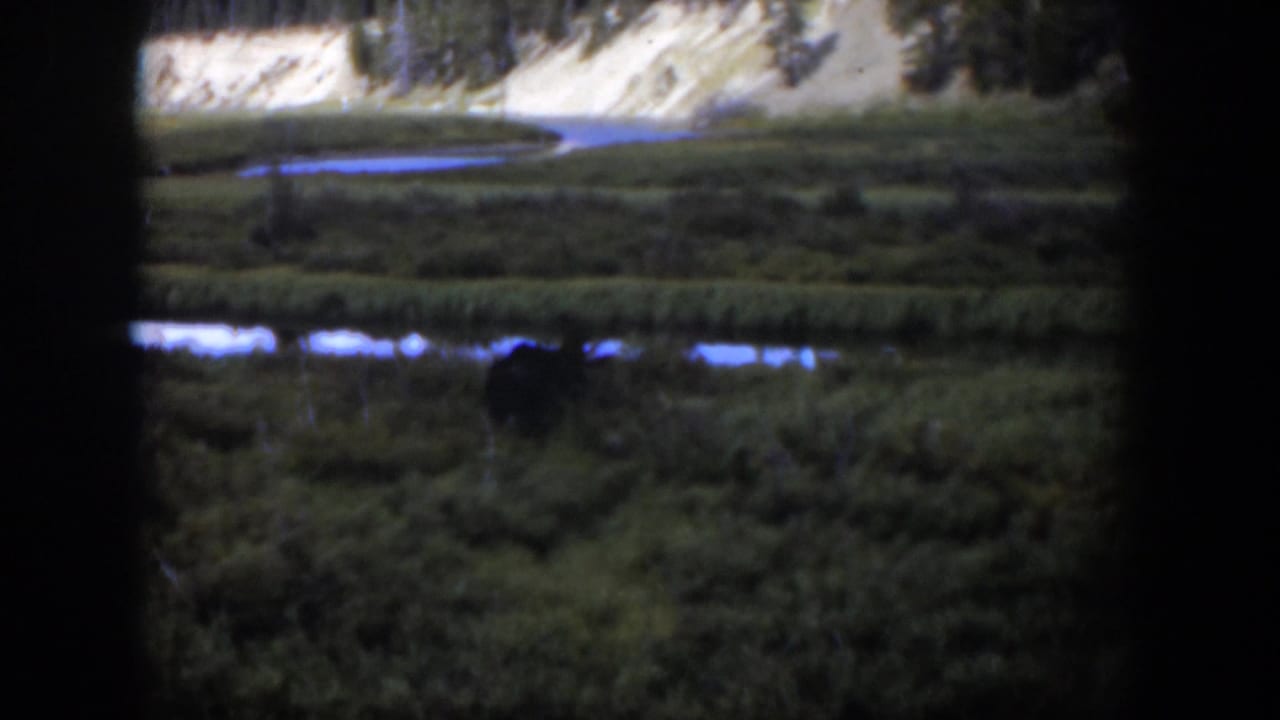 Marshy green field with water channels and a distant light hillside.