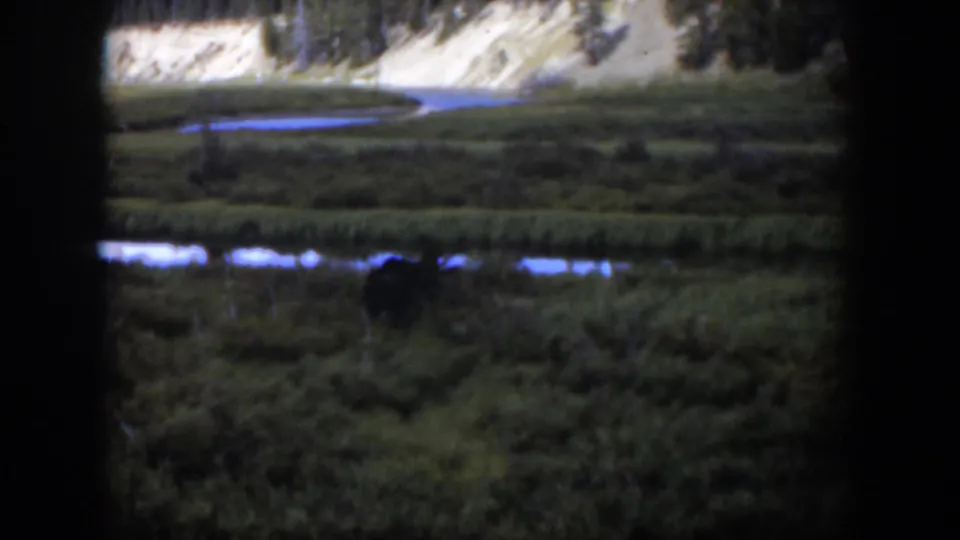 1951 Wyoming 8mm frame showing a green marsh field, reflective water, and a pale hillside beyond dark film edges.