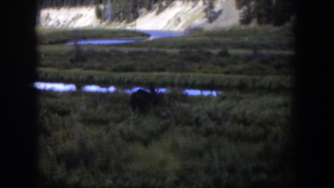 Wyoming home-movie frame with marsh vegetation, small reflective streams, and a distant pale hillside under natural light.