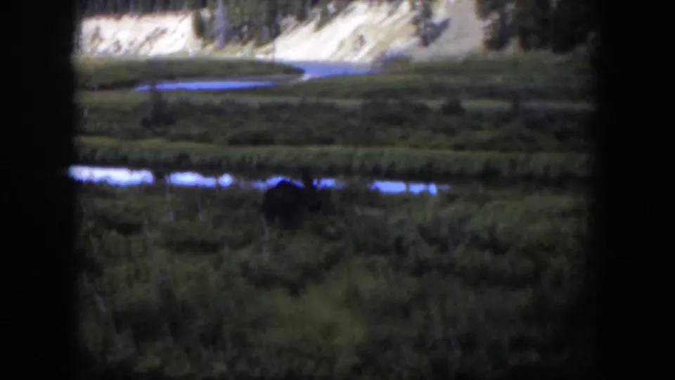 Wyoming home-movie frame with marsh vegetation, small reflective streams, and a distant pale hillside under natural light.
