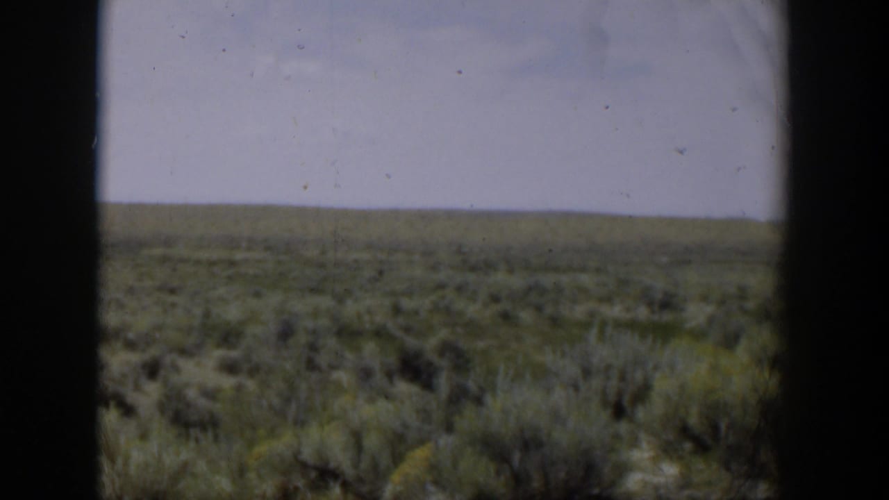 Wyoming landscape frame showing a broad sagebrush field, distant flat horizon, pale sky, and visible 8mm gate edges.