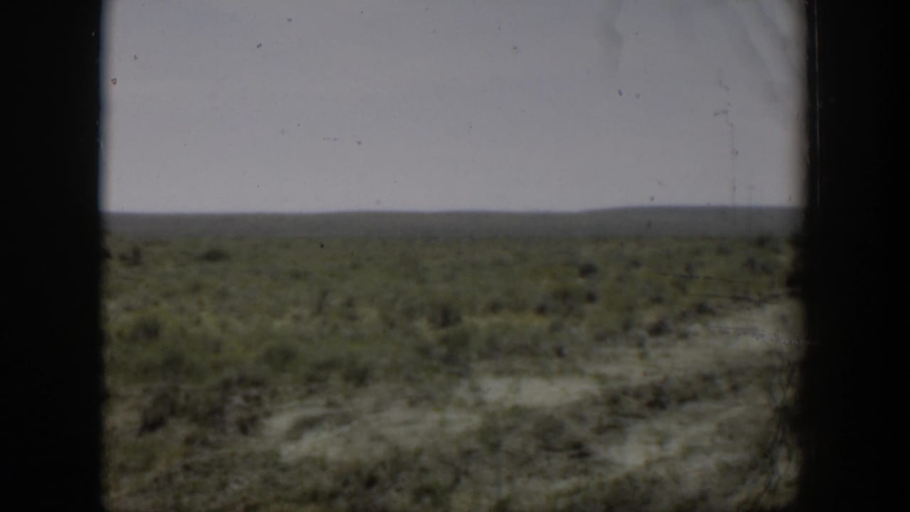 Soft 1951 Wyoming landscape frame with low crop-like growth, dry ground, and a broad horizon partly obscured by gate shadows.