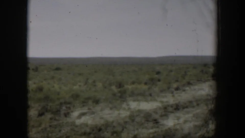 Soft 1951 Wyoming landscape frame with low crop-like growth, dry ground, and a broad horizon partly obscured by gate shadows.