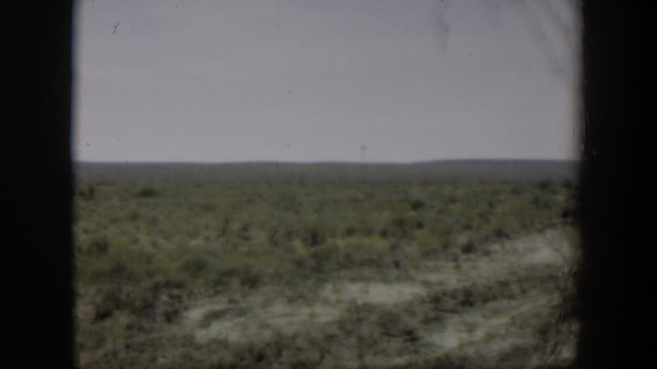 Open scrubland seen through dark vertical borders under a pale sky.