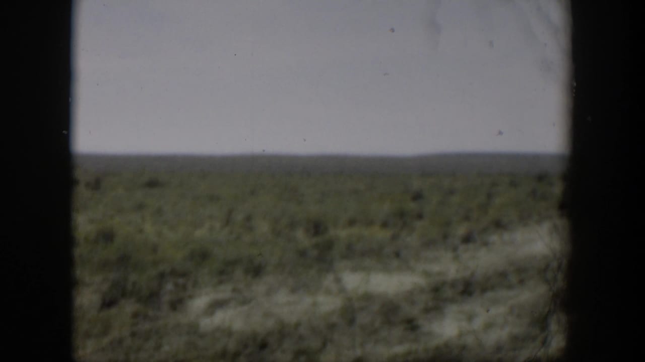 Sparse field and distant horizon framed by dark vertical edges.