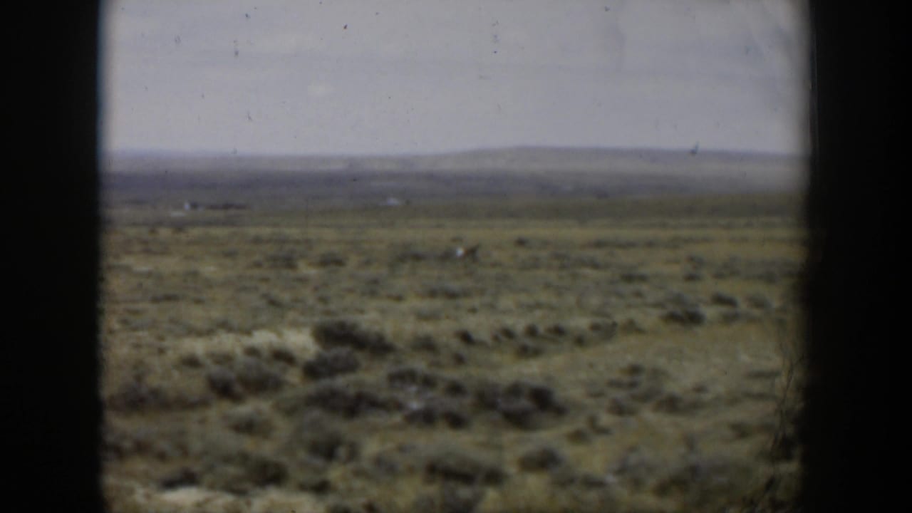 Faded 1951 Wyoming 8mm frame of sagebrush rangeland where a distant deer is barely visible in the open field.