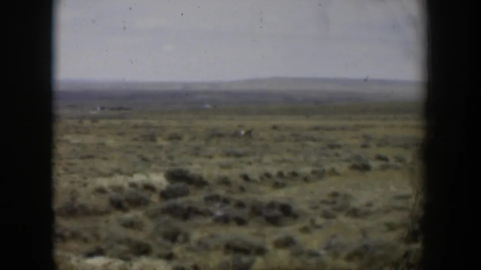 Faded 1951 Wyoming 8mm frame of sagebrush rangeland where a distant deer is barely visible in the open field.